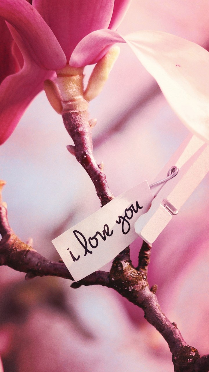 love on flower