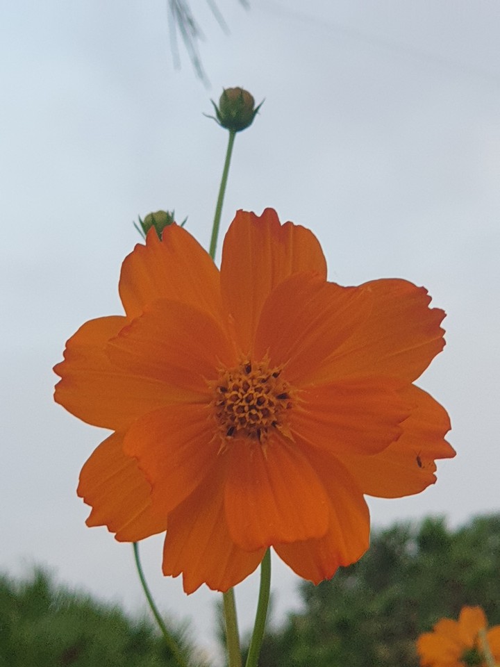 산책길에서