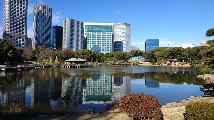 walking in Tokyo
