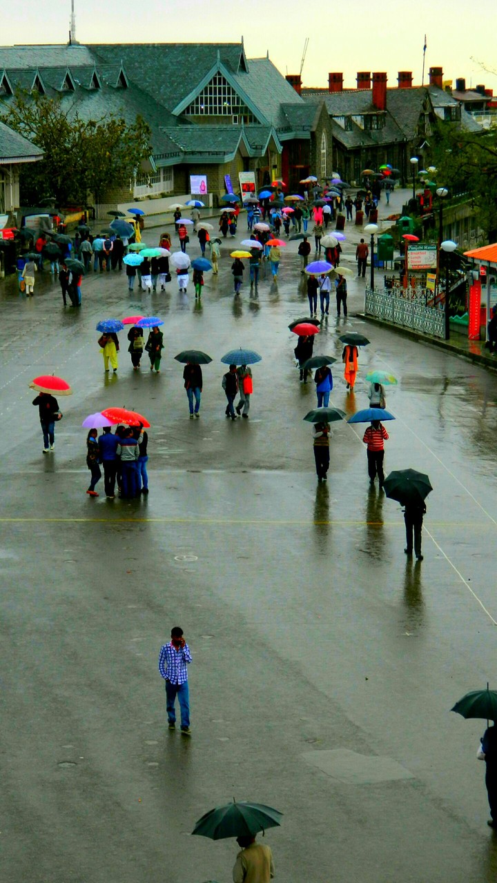 Shimla mall road