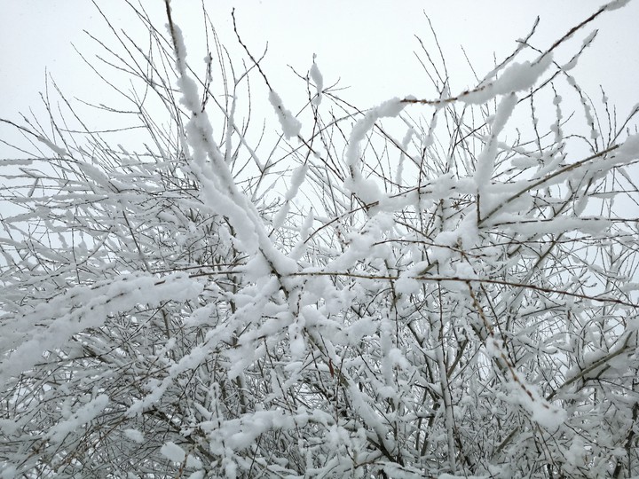 snow