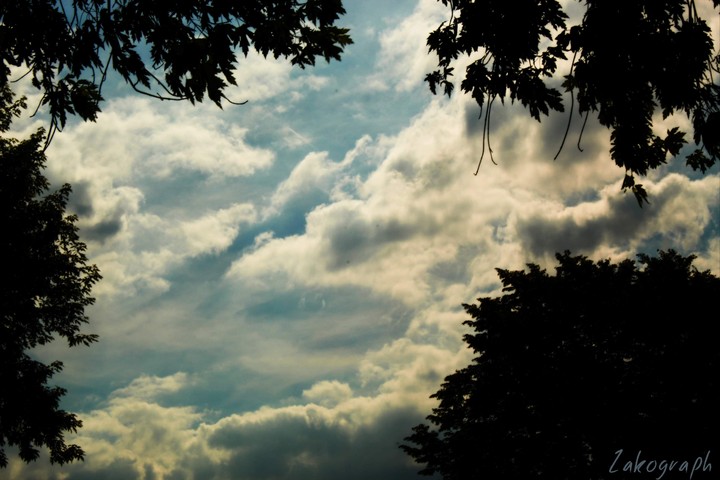 nature