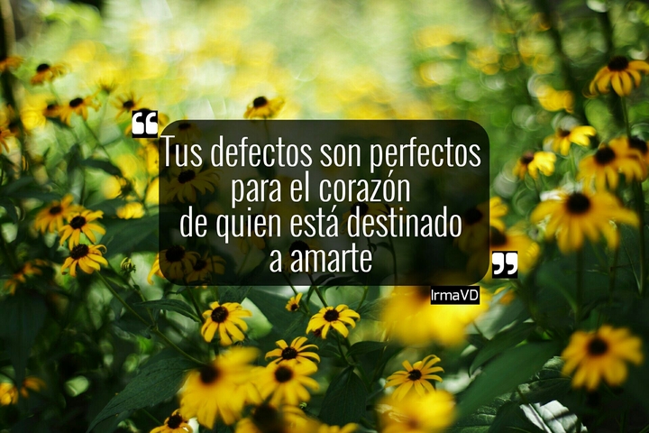 frases