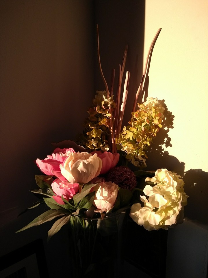 Blumen