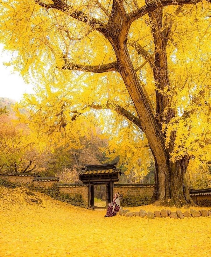 Autumn