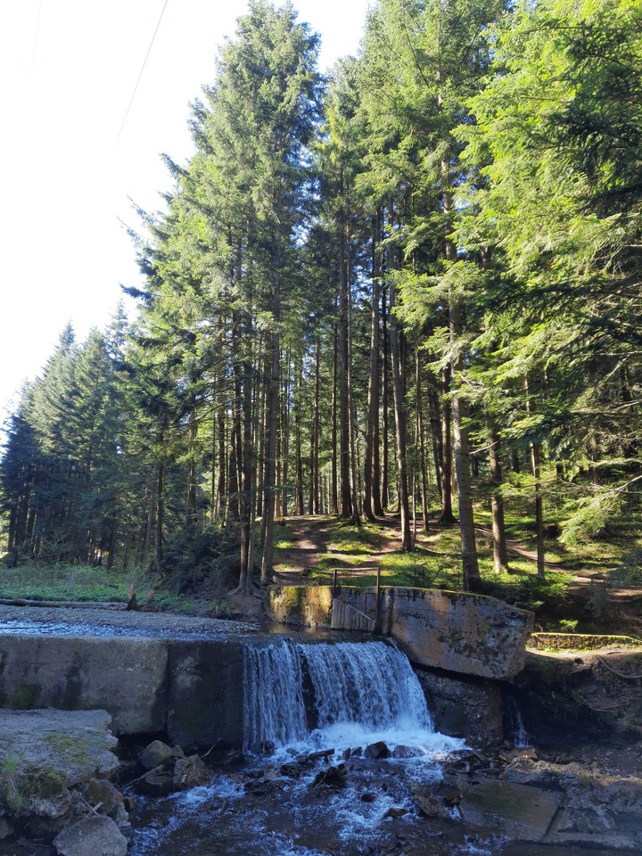 Skole Beskids National Park