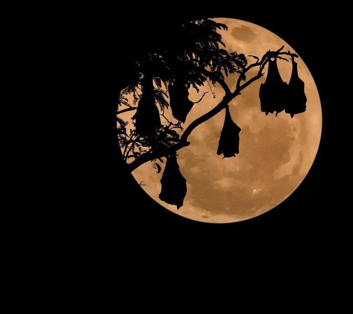 moon