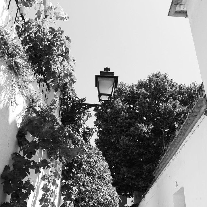 Granada