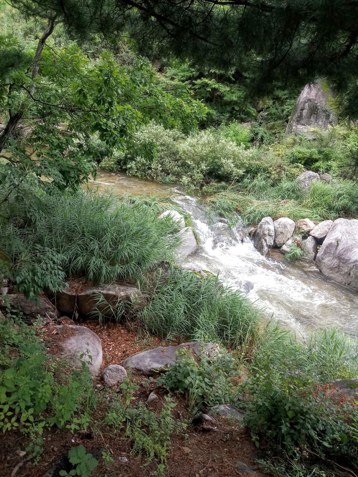 Valley