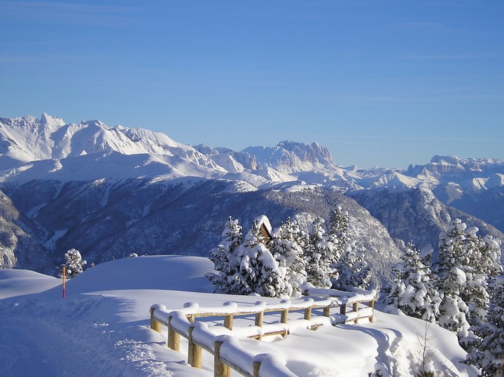 beauty winter