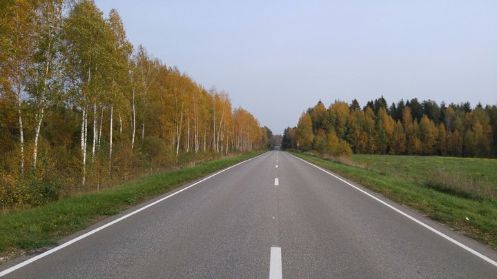 The road to the Autumn forest