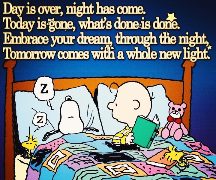 Good Night Friends