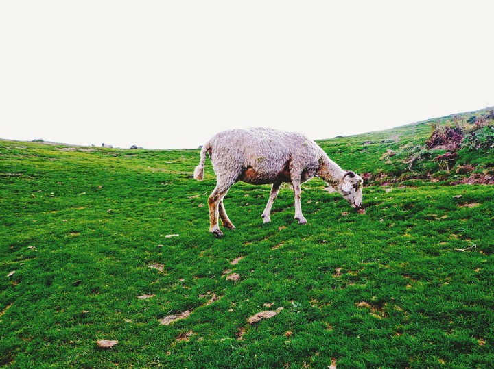 Landscape photography