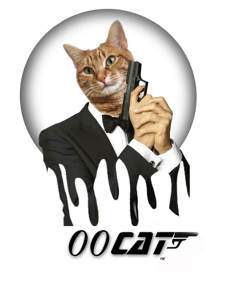 00cat