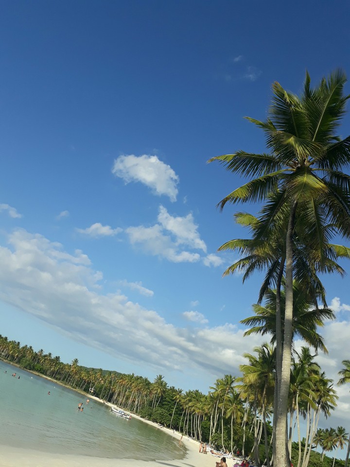 Beach galeras
