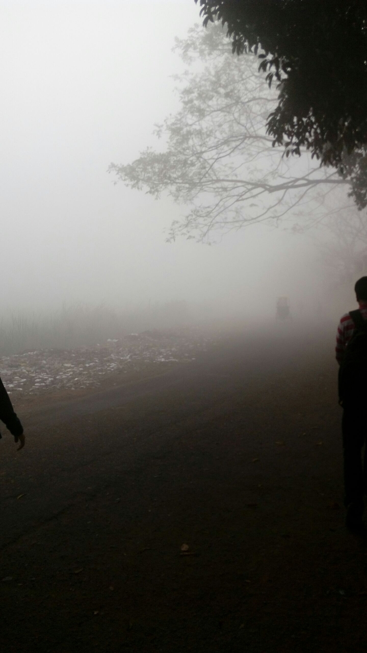 foggy morning