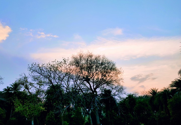 Evening