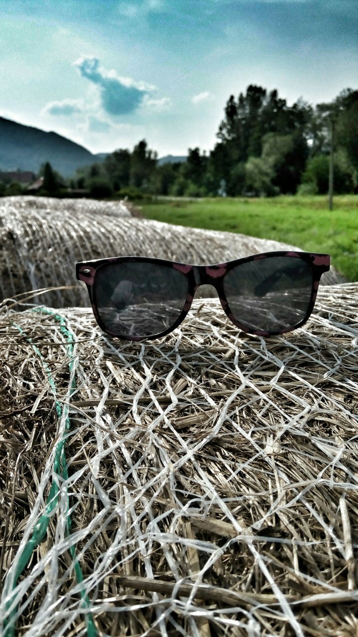 Sunglasses