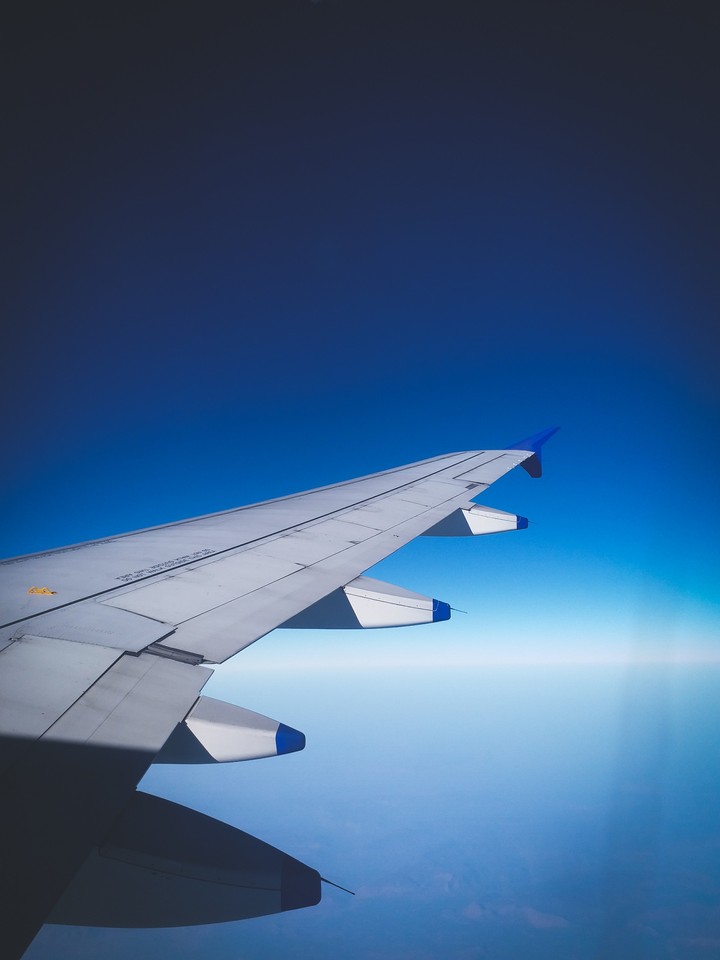 fly high