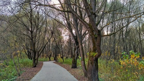 trail, path duvar kağıtları