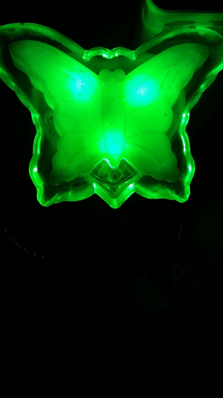 Y.H.