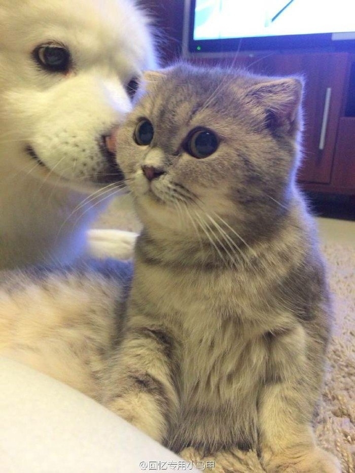 ?
