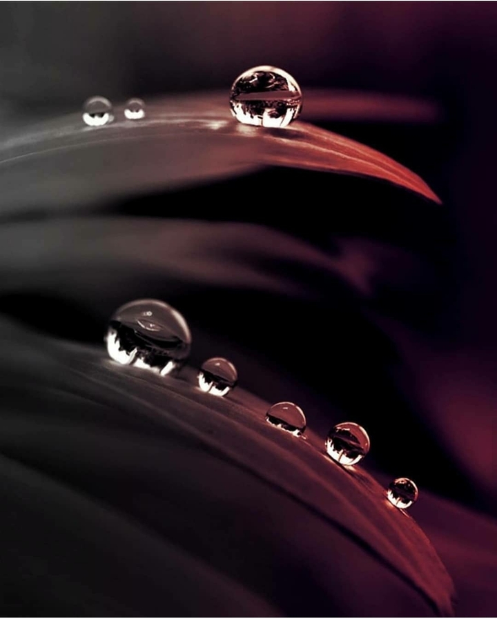 water drop