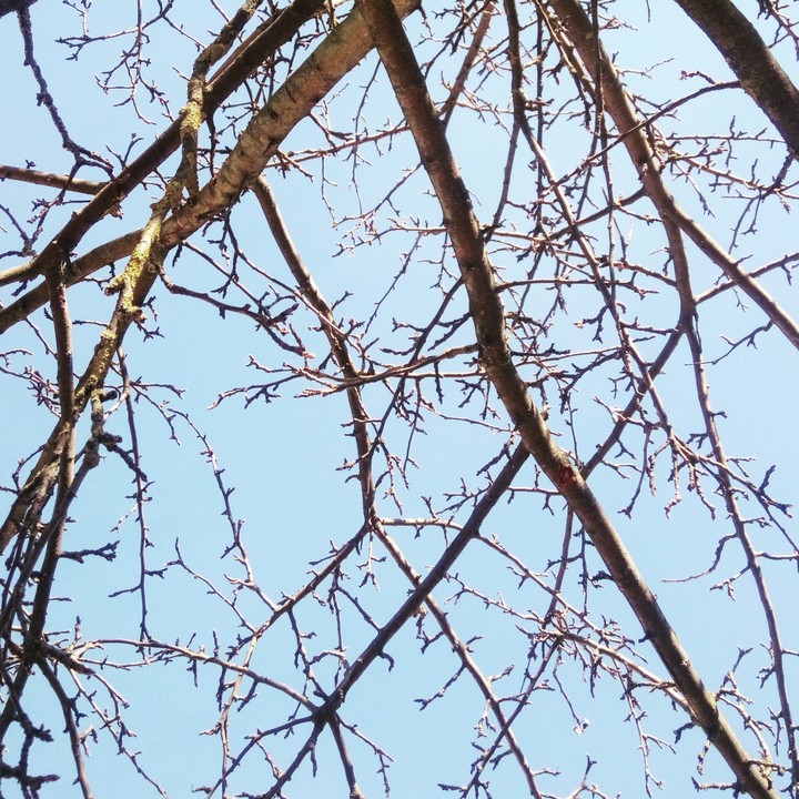 Spring
