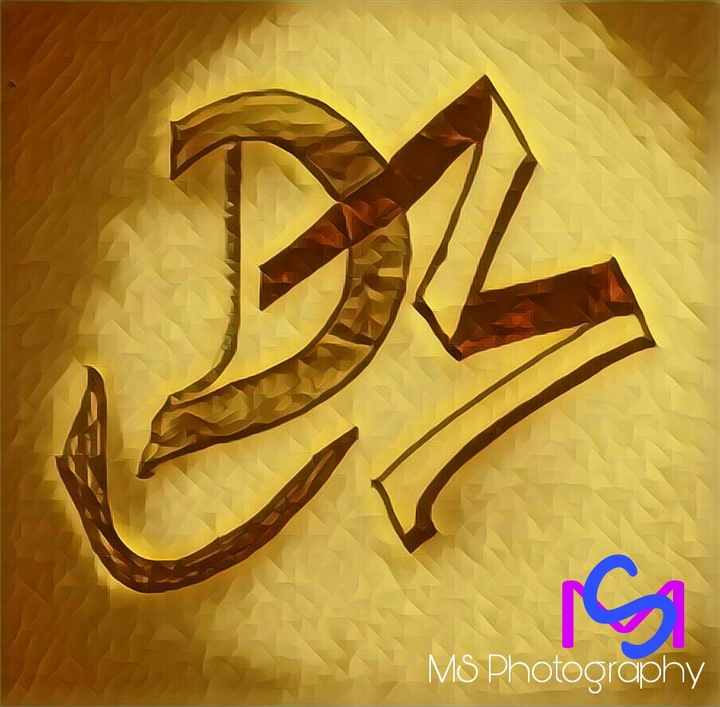 Logo  DM or MD