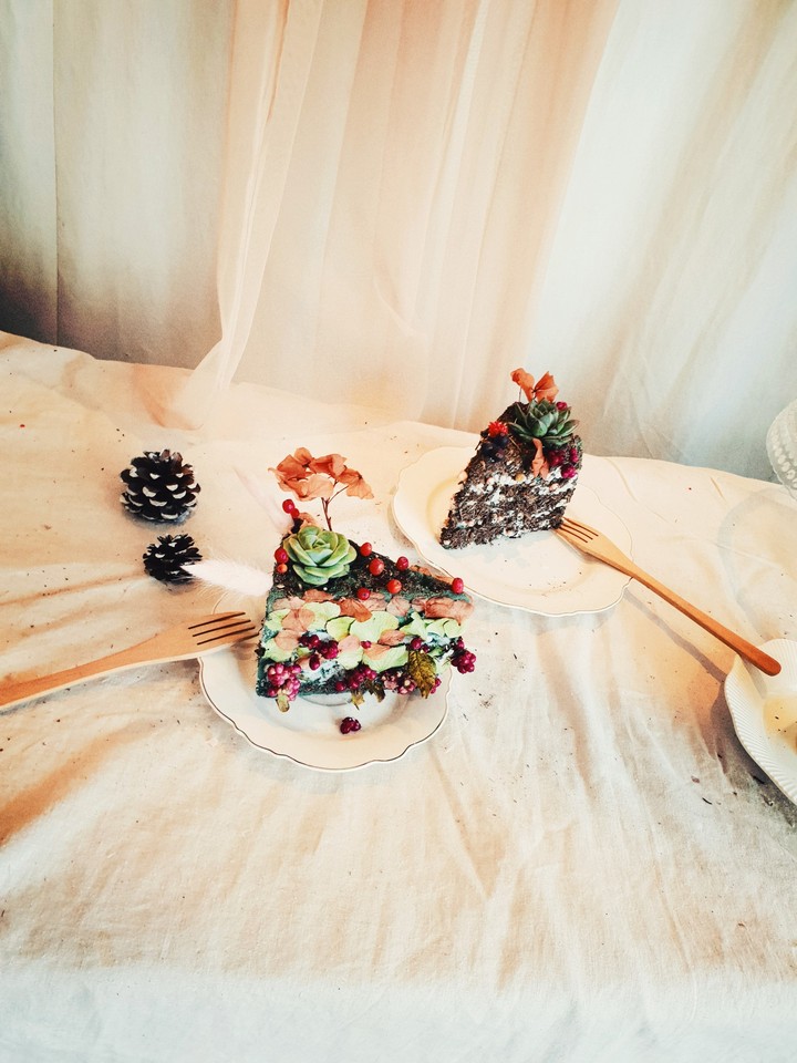 다육cake