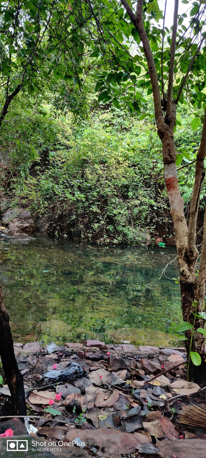 Nature