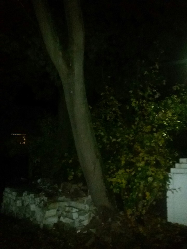 Nachtspaziergang