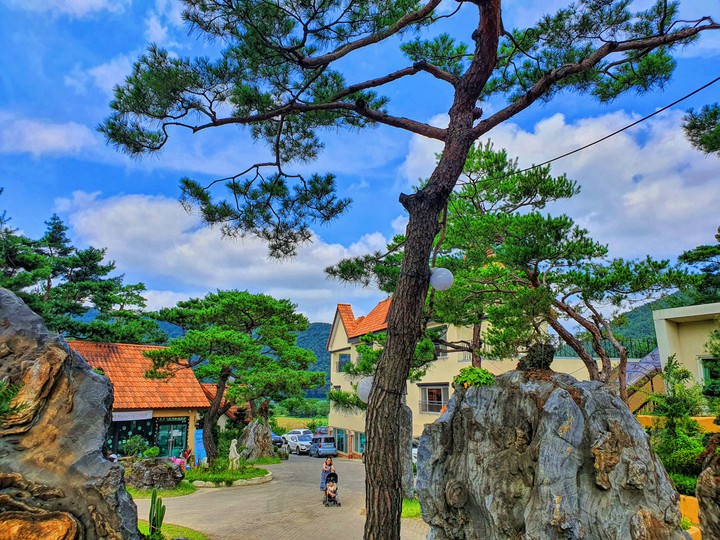 풍경