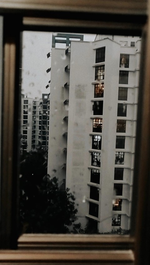 view through my window