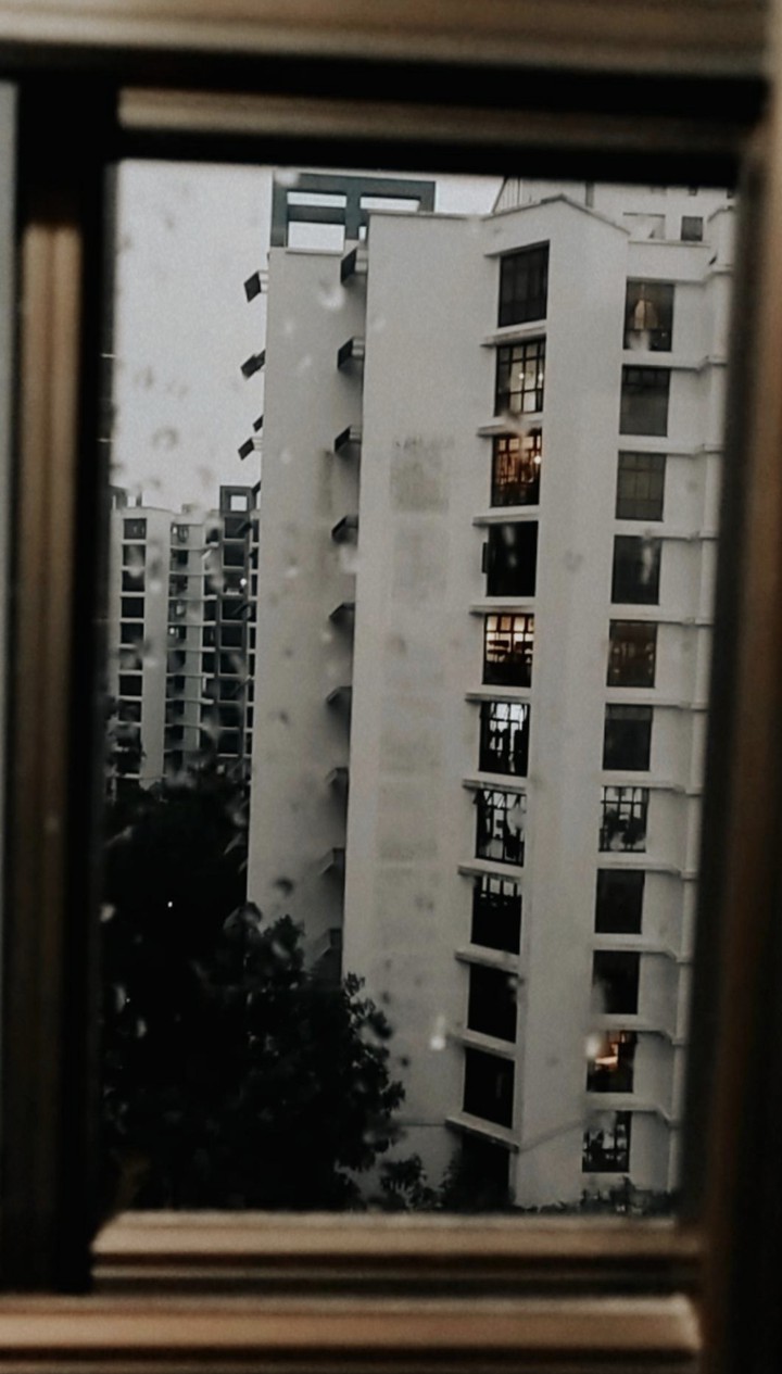 view through my window