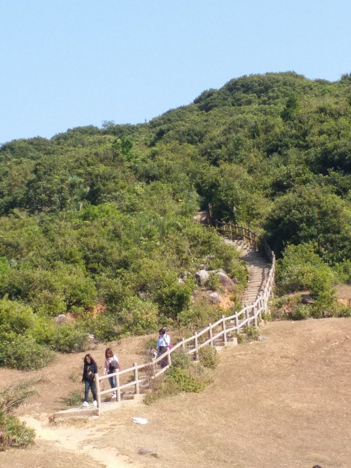 grass island Hong Kong 13