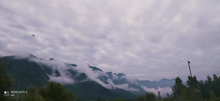 calm morning