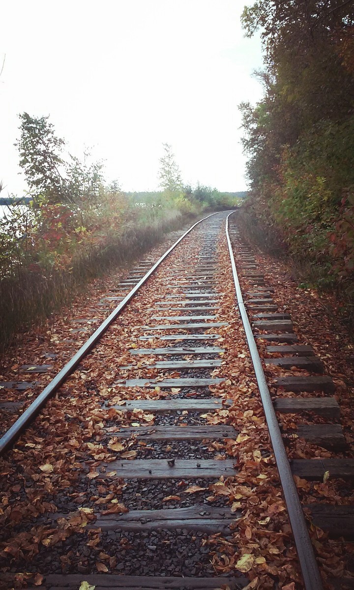 Northshore Scenic Railroad