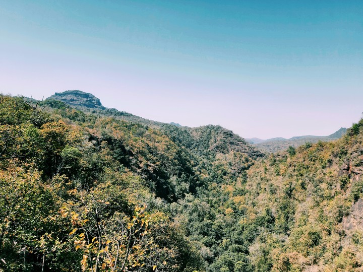 mountain jungle