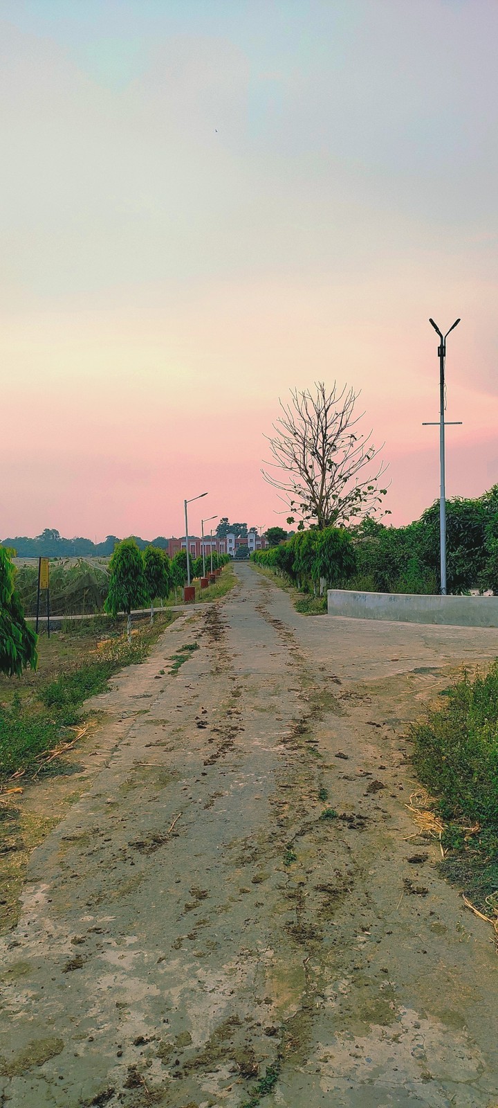 Road I took