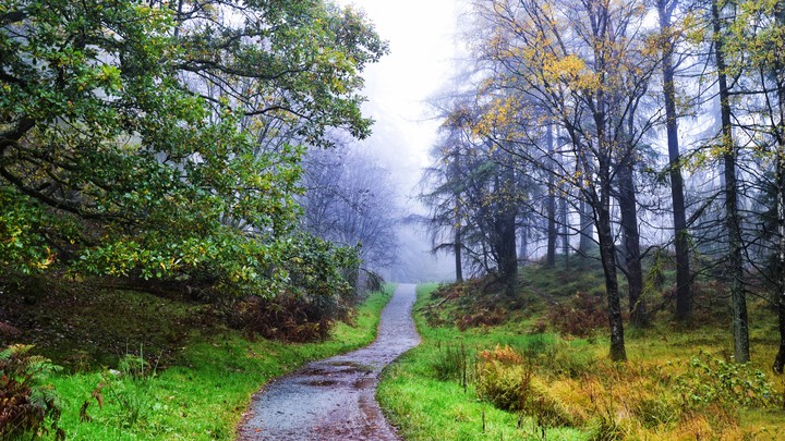 Beautiful path