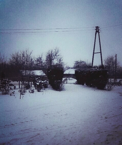 winter