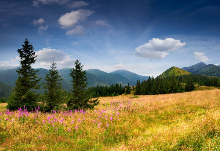 beautiful romantic nature