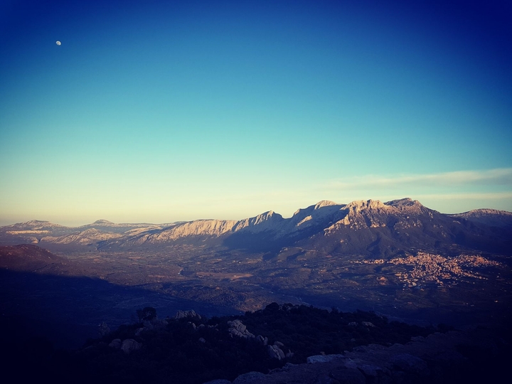 la mia terra