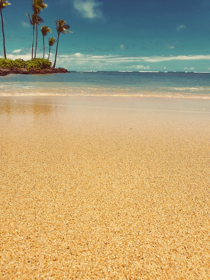 Beach sand and Ocean