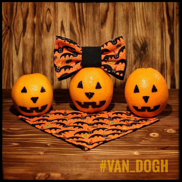 Trick or treat!