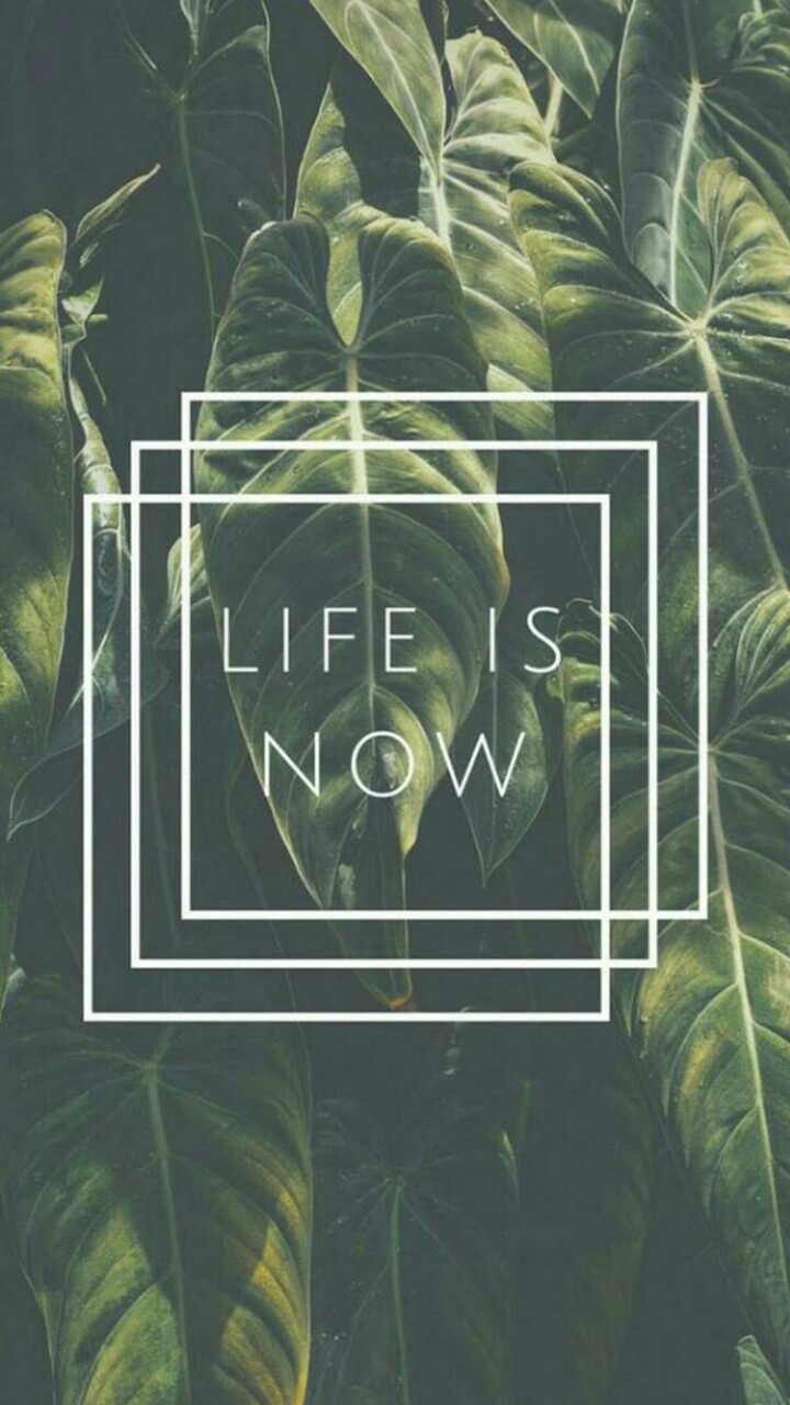 life is now❤