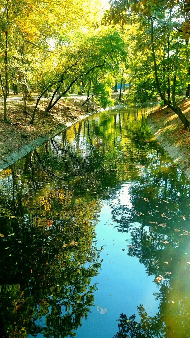 BUDAPEST REFLECTIONS