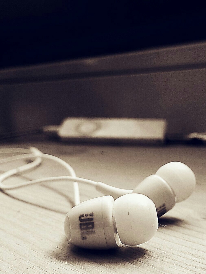 Earphones