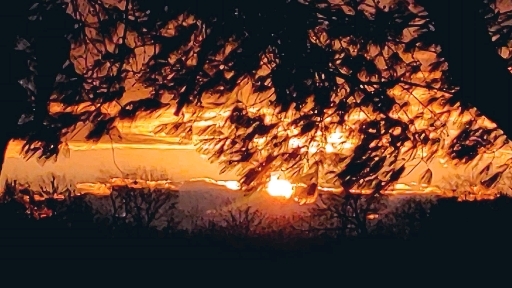 windy sunrise